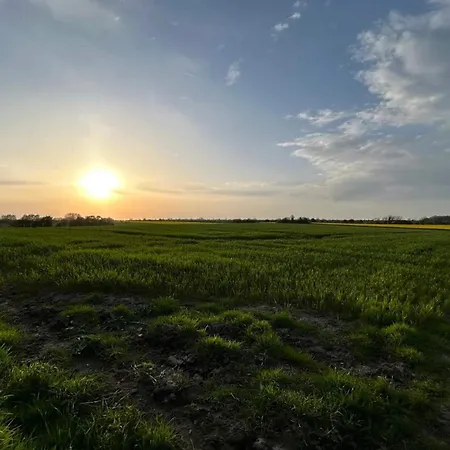 度假居 6 Person In Haderslev-by Traum *